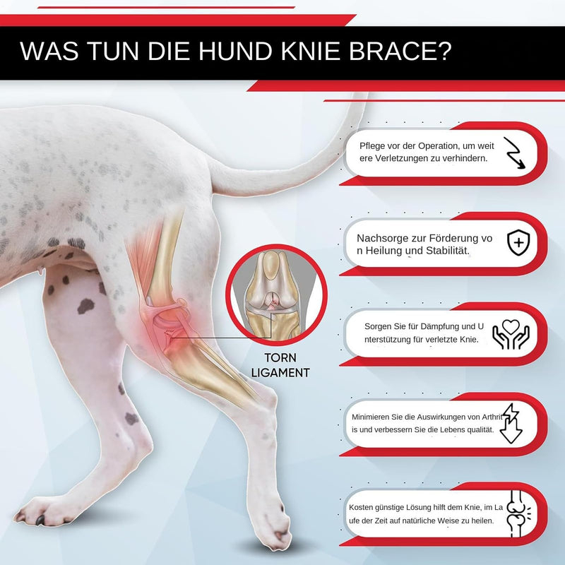 Generic knee brace for dogs | Jumping brace | Rear support | Non-slip knee brace with adjustable strap, soft protection for restoring mobility