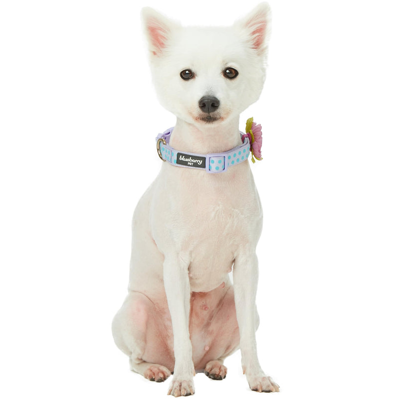 Blueberry Pet Adjustable Flocking Dog Collar with Artificial Silk Flower - Polka Dot in Pastel Purple, Large, Neck 18"-26" Flocking Print - Pastel Purple - PawsPlanet Australia