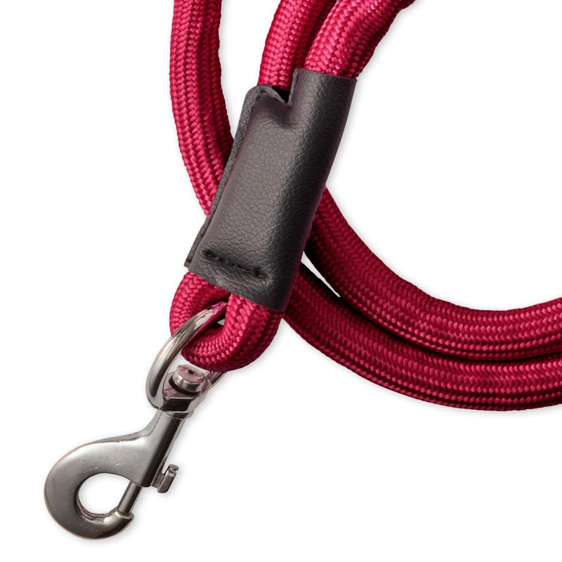 Plush Dog Leash with Cozy Sherpa Handle 5 ft. for All Pet Breeds, Hot Pink, One Size - PawsPlanet Australia