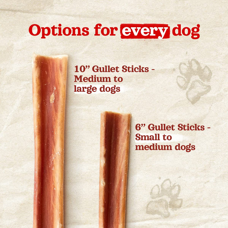 Natural Farm Gullet Sticks (6 Inch, 25 Pack), Grain-Free, Preservative-Free & Fully Digestible Beef Esophagus – Gentle Yet Effective Fun - Best for Light, Pups & Senior Chewers 6-inch 6 Inch (Pack of 25) - PawsPlanet Australia