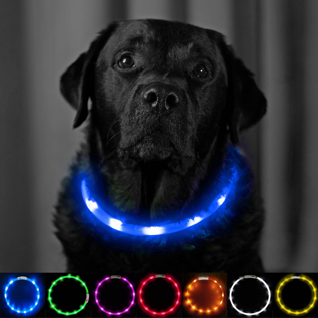 PetSol Light Up Dog Collar Blue - Extra Bright LED Collar - USB Rechargeable - Cut to Fit (20cm to 70cm) with Static or Flashing Mode - Weatherproof, Easy Clean, High Visibility & Full Guarantee