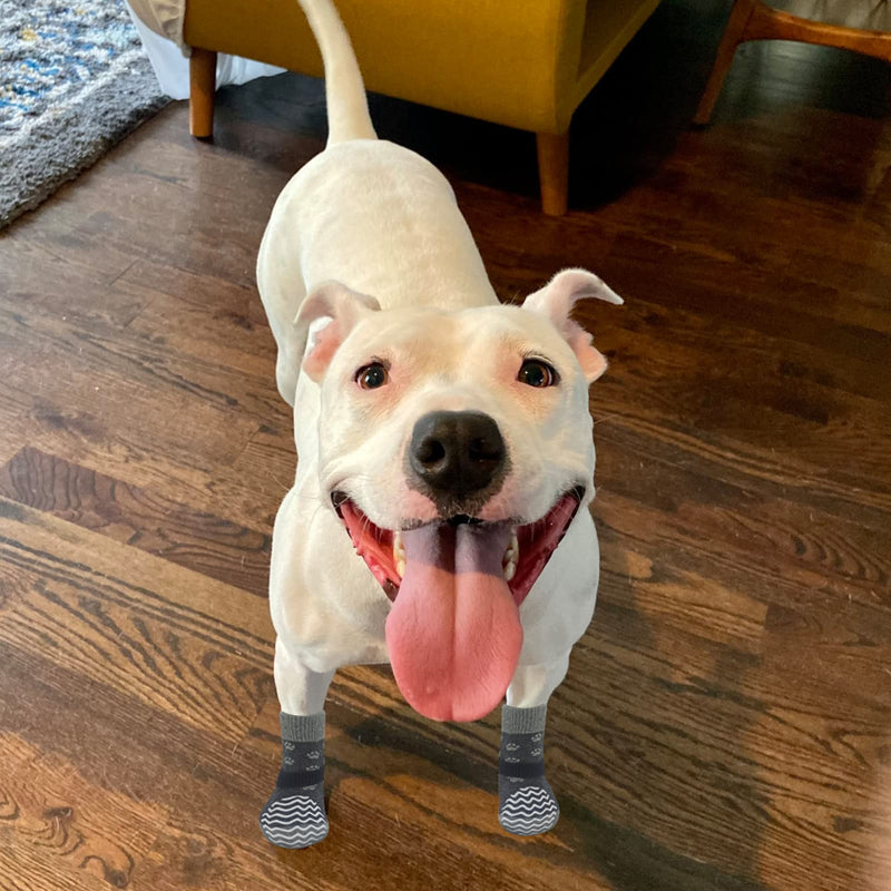 EXPAWLORER 3 Pairs Anti-Slip Dog Socks - Dog Shoes for Hot/Cold Pavement,Soft Paw Protector for Wooden Floor, Prevents Licking, Slipping for Puppy Small Medium Large, Senior Dogs Grey - PawsPlanet Australia