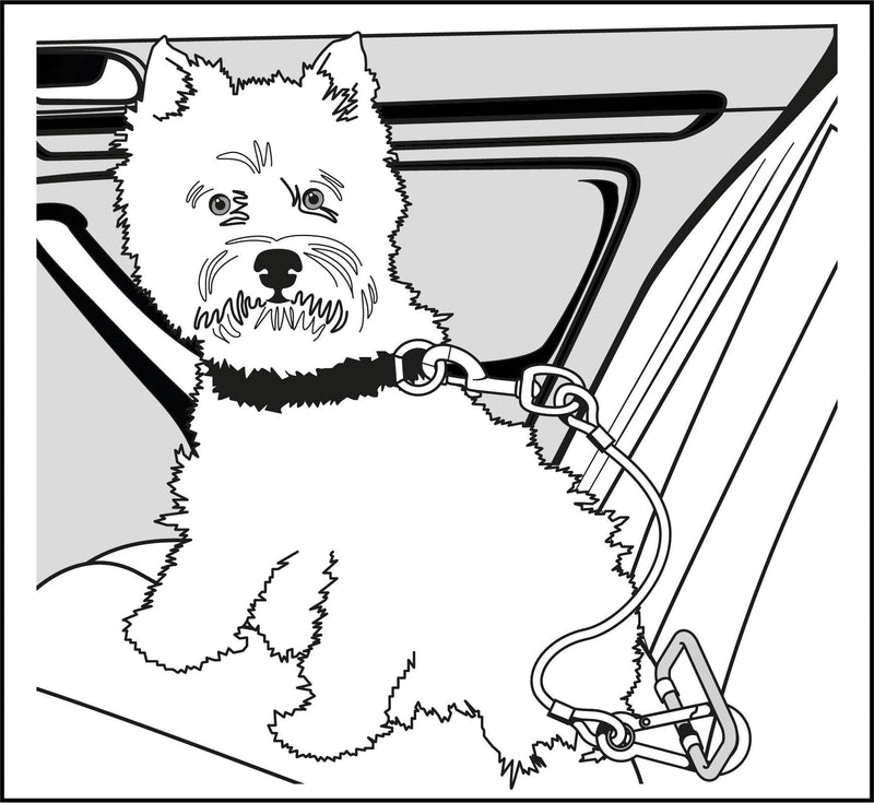 Zinco Dog Car Leash - Chew Proof Heavy Duty Dog Tie-Out Car System, Easy to Install & Remove Dog Car Leash Seat Belt, Dog Car Seat Belt Restraint with Vinyl Coating to Prevent Chewing - PawsPlanet Australia