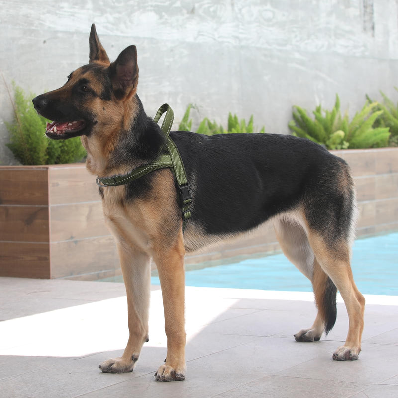 Plutus Pet No Pull Dog Harness with Breathable Mesh Padded, Adjustable Reflective Escape Proof Dog Harness, Quick Fit Dog Vest Harness for Small Medium Large Dogs(M, Ranger Green) M: chest 19.7"-25.2" - PawsPlanet Australia