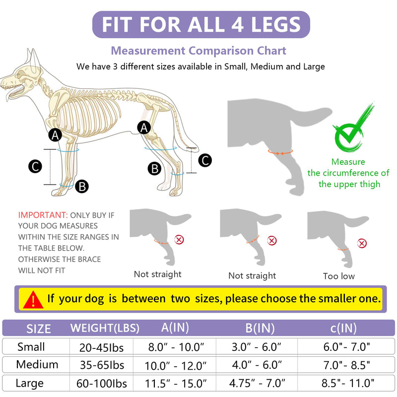 Dog Knee Brace, Acl Knee Brace for Dogs Hind Leg with Cruciate Ligament Injury,Joint Pain and Muscle Sore,Adjustable Dog Rear Leg Brace Support for Patella Dislocation,Pet Knee Brace (Medium) Medium - PawsPlanet Australia