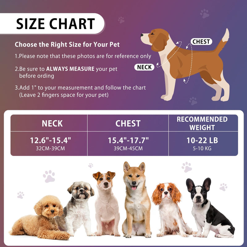 LED Dog Harness with Battery Indicator, USB-C Rechargeable, RGB Light Up Harness (Blue Green Pink), 3 Modes, Adjustable Reflective Puppy Vest for Small Dogs Cats, Night Walking Safety - PawsPlanet Australia