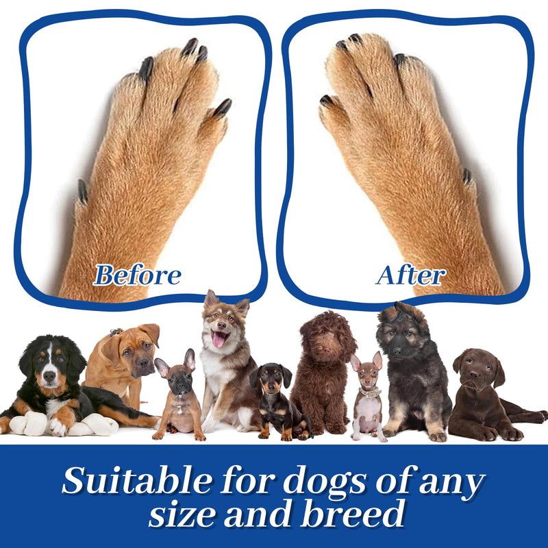 10 Pcs Dog Nail Scratch Board Sandpaper Replacement, 35 * 25cm Scratchboard Sheets Dog Scratcher Pad Replacement Sand Paper for Pets Nail Care