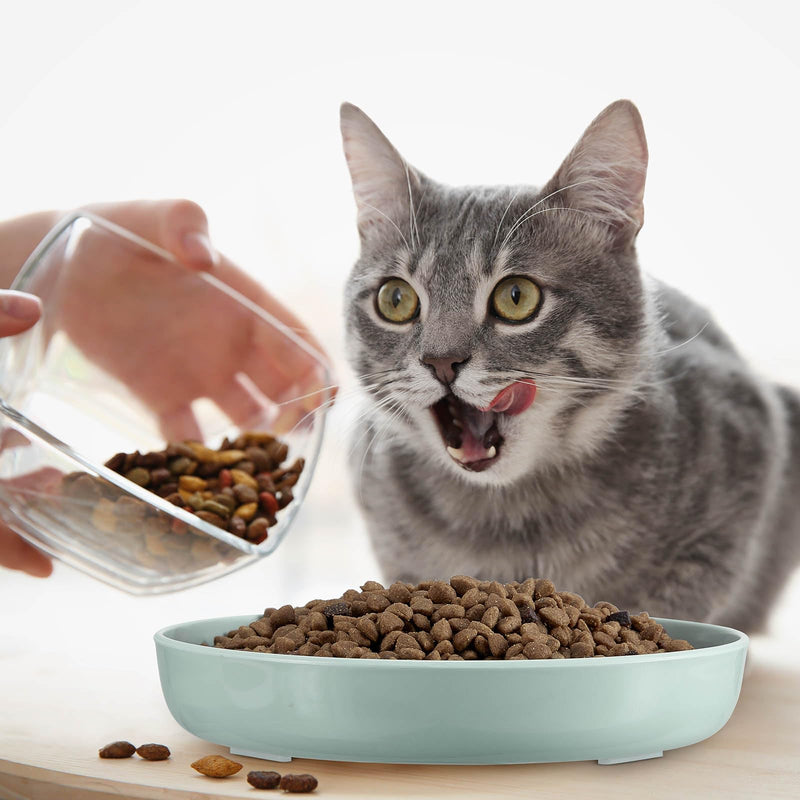 Cat Feeder, 2 Pcs Pet Slow Feeder Bowl, Fish Pool Design, Healthy Eating Diet, Interactive Cat Food Bowl, Dishwasher Safe, Melamine, Green White White, Green - PawsPlanet Australia