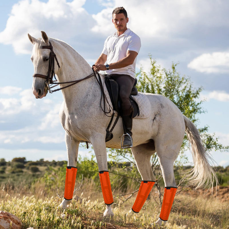 FOXLVDA Horse Fly Boots - Fly Boots for Horses Set of 4, Comfortable Horse Leggings, Mesh Material Design with Metal Support Bars for Reduces Stomping & Leg Fatigue (Orange, Large) - PawsPlanet Australia