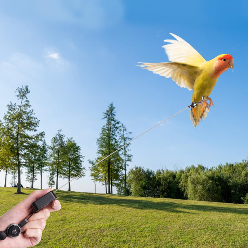19.69Ft Retractable Bird Leash, with 5 Different Size Foot Ring and Feeder Box, Anti-Bite Parrot Harness Bird Flight Training Rope for Budgies, Cockatiels, Psittacula Longicauda, Mini Macaws 19.69FT - PawsPlanet Australia