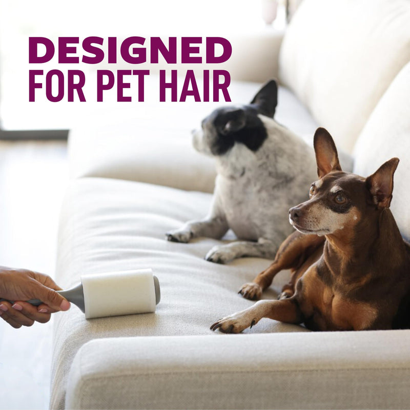 Scotch-Brite Pet Hair Pickup Extra Sticky Large Lint Roller, Designed for Removing Fur + Fluff on Couches, Clothes, Dog and Cat Beds, & More, 1 Pack, 60 Easy-Tear Adhesive Sheets Total 1 Roller, 60 sheets - PawsPlanet Australia