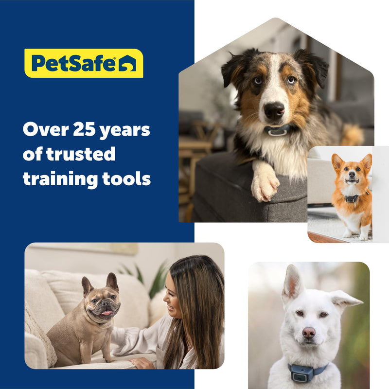 PetSafe 300 Yard Remote Training Collar – Choose from Tone, Vibration, or 15 Levels of Static Stimulation – Medium Range Option for Training Off Leash Dogs – Waterproof and Durable – Rechargeable 1 Dog For Medium/Large Dogs - PawsPlanet Australia
