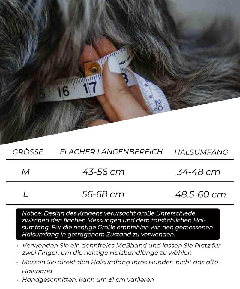 Dog Collar, 5 cm Wide Nylon Neoprene Collar with Handle, Extra Large Dog Breeds, Black, Soft Padded, 56-66 cm