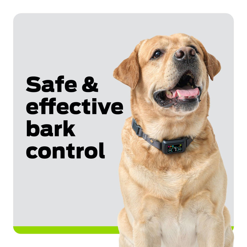 Dog Bark Collar- Waterproof - Rechargeable Digital Bark Collar Anti Barking Collar with 5 Adjustable Sensitivity Levels Dogs - PawsPlanet Australia
