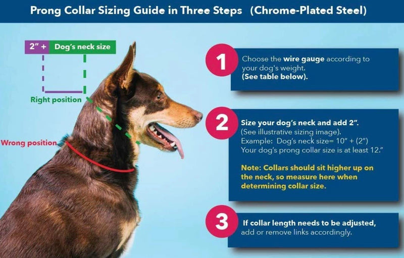 Herm Sprenger Prong Collar for Dogs Training – Quick Release Buckle & Swivel Ring for Easy Use – Made of Durable Chrome Plated Stainless Steel in Germany– 2.25mm Prongs for Small Dogs with 14-19" Neck Small/Medium (14-19" Neck, 2.25mm Links) - PawsPlanet Australia