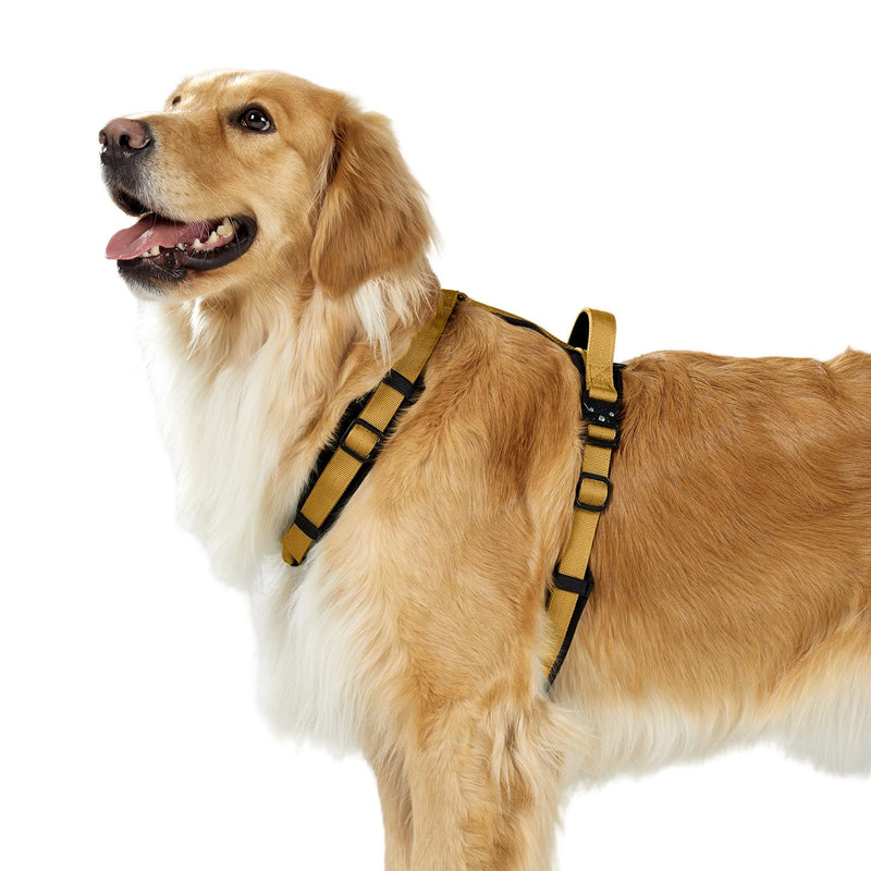 PawsPassion Dog Harness for Large Dogs, No Pull Dog Harness with Metal Hardware, Ergonomic Y-Shaped Design, Soft Padding, Padded Handle, Durable High-Tensile Nylon (Sunrise, L) Sunrise - PawsPlanet Australia