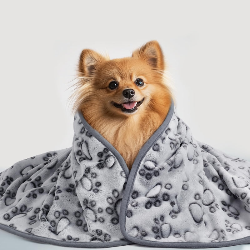 Luciphia Premium Soft Dog Blanket for Small Medium Large Dogs Washable 300GSM Fluffy Warm Fleece Puppy Cat Paw Print Pet Flannel Pcs2 Grey Paw L(41"x31") L(41"x31") - PawsPlanet Australia