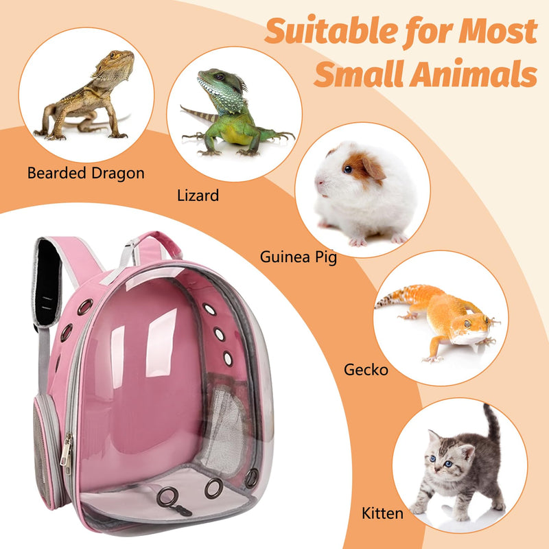 kathson Bearded Dragon Carrier with Harness and Leash Set, Large Reptile Travel Carrier Portable Lizard Backpack Clear Small Animals Carrying Bag for Gecko Hamster Rabbit Hedgehog Kitten (Pink) Pink