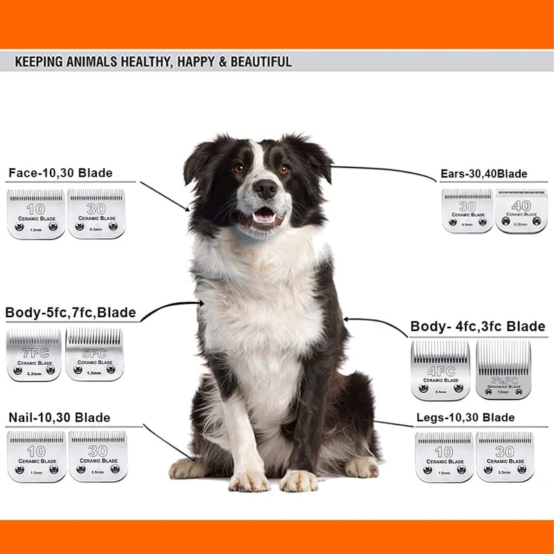AIJALY 10 Blades Dog Grooming Blades Compatible with Andis/Wahl/Oster Pet Clippers AG AGC Ceramic Sharp Size-10, 1/16-Inch Cut Length (#10 Blade/2PC) #10 Blade/2pc - PawsPlanet Australia
