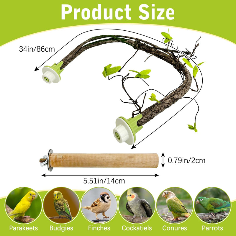 PINVNBY 2 PCS Bendable Bird Perches Simulation Branch Parrot Perch Stand with Green Leaf Hanging Paw Grinding Fork Cage Accessories for Parakeet Budgie Finch Cockatiel Conure (Large) Style 1 Large