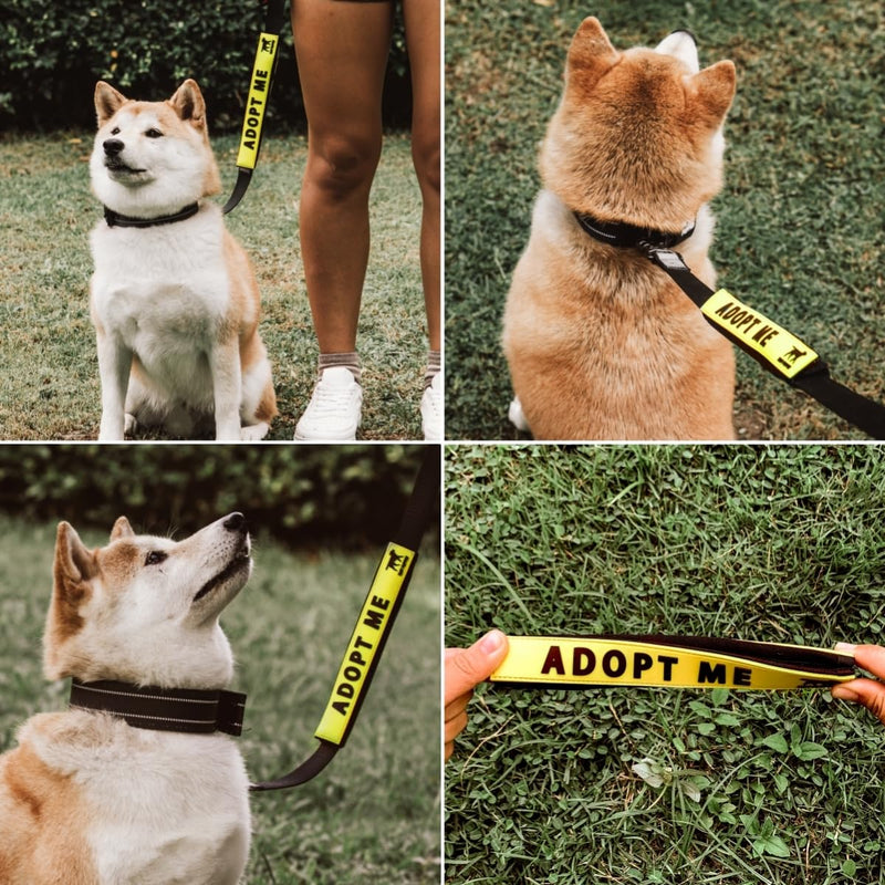 Tuff Pupper Waterproof Leash Sleeve | Fits Any Standard Size 1 Inch Wide Leash | Dual Sided Message | Durable Neoprene & Silicone | Odor & Stink Proof | Easy Secure On & Off (1 Pack, Adopt Me) Leash Sleeve - 1 Pack - PawsPlanet Australia