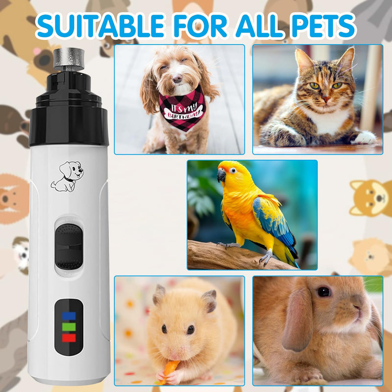 Silent Grind Pro for Dogs, Silent Grind Pro, Silent Grind Pro Dog Nail Trimmer, New Electric Dog Nail Clippers for Dog Nail Grinders Rechargeable, Super Quiet Dog Nail Grinder,Pet Paws Grooming Tool - PawsPlanet Australia