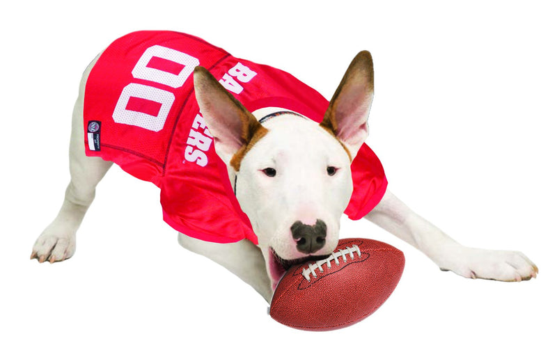 Pets First NCAA College Wisconsin Badgers Mesh Jersey for DOGS & CATS, X-Large. Licensed Dog Jersey with your Favorite Football/Basketball College Team - PawsPlanet Australia