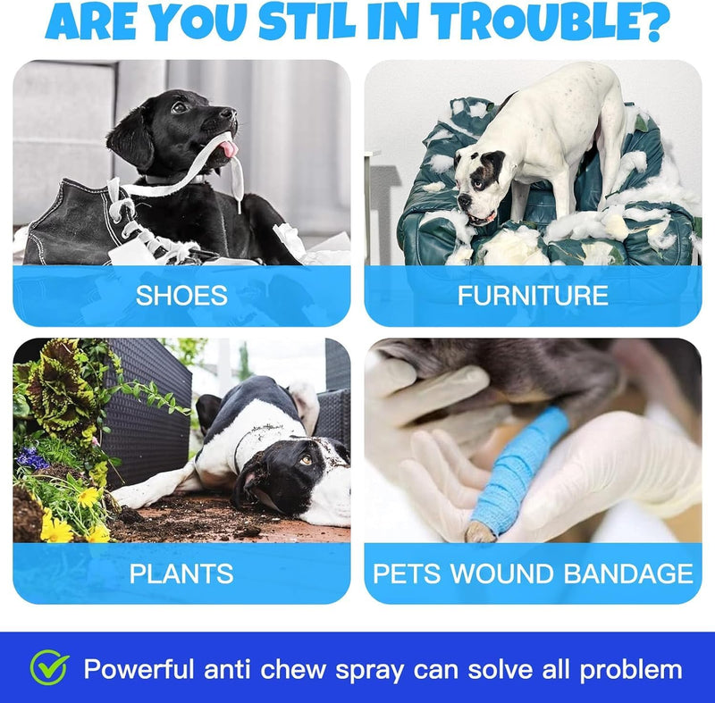 Bitter Apple Spray for Dogs: 100ML Natural Alcohol-Free Bitter Spray for Dogs to Stop Chewing Licking, Deterrent Spray for Puppy Training Protect Furniture, Shoes, Cords Indoor/Outdoor Use (100ML) - PawsPlanet Australia