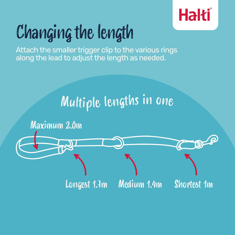 Halti No Pull Harness Size Large & Halti Training Leash Size Large, Black Combination Pack - Stop Your Dog Pulling on the Leash. Adjustable, Lightweight and Easy to Use. Suitable for Large Dogs