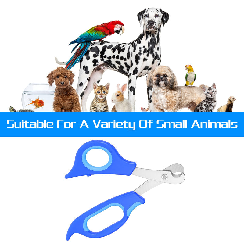 Stainless Steel Bearded Dragon Nail Clippers, Reptile Nail Clippers for Small Reptiles, Turtle, Chameleon, Hedgehog(Blue)