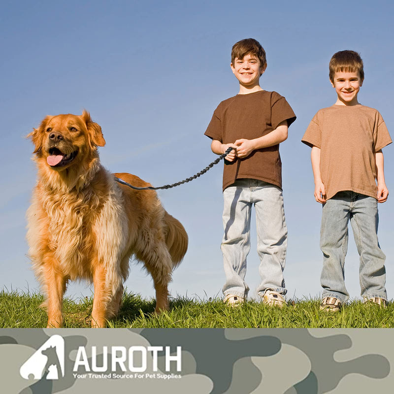 AUROTH Dog Leash, Heavy Duty Dog Leash Bungee, No Pull Dog Leash for Shock Absorption, Black Dog Training Leashes for Medium Large Breed Dogs 6FT, 2 Padded Handles MAX: 6 FT