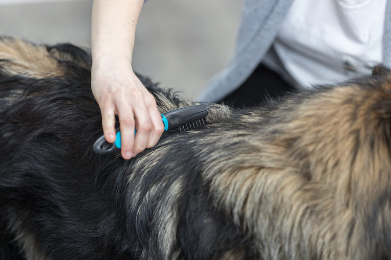 TRIXIE Pet Universal Grooming Rake for Cats and Dogs, Removes Mats and Tangles 7" (18cm) 2.8 x 6.3 in Turquoise/Black - PawsPlanet Australia