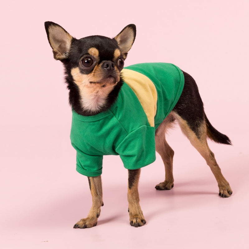 Fitwarm 3 Pack Color Block Striped Dog Shirt, Summer Dog Clothes for Small Dogs, Breathable Lightweight Dog Tshirt, Pet Outfit, Navy Blue, Sea Green, Brown, Large Navy Blue-Sea Green-Brown - PawsPlanet Australia