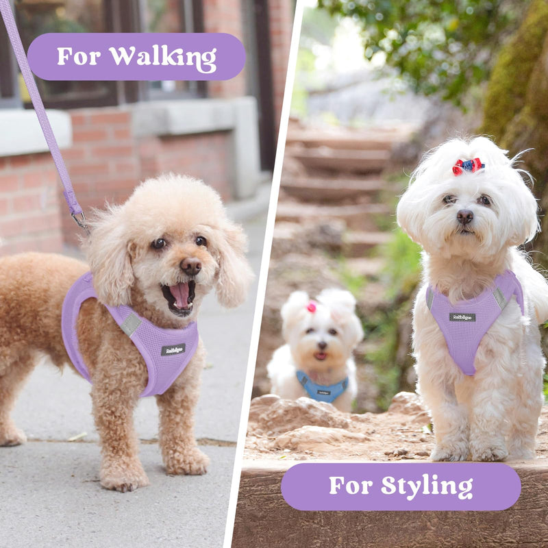 rabbitgoo Dog Harness Small Dog, Step-in Soft Mesh Puppy Harness with Reflective Strips, Lightweight Breathable Pet Vest for Walking Training, Light Purple, M