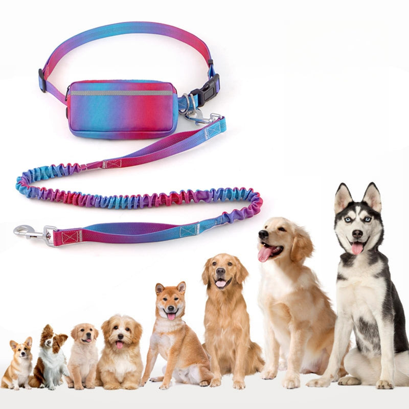 Hands Free Dog Leash for Medium Large Dogs,Hands Free Dog Leash with Zipper Pouch,Suitable for Running Jogging Walkin - PawsPlanet Australia