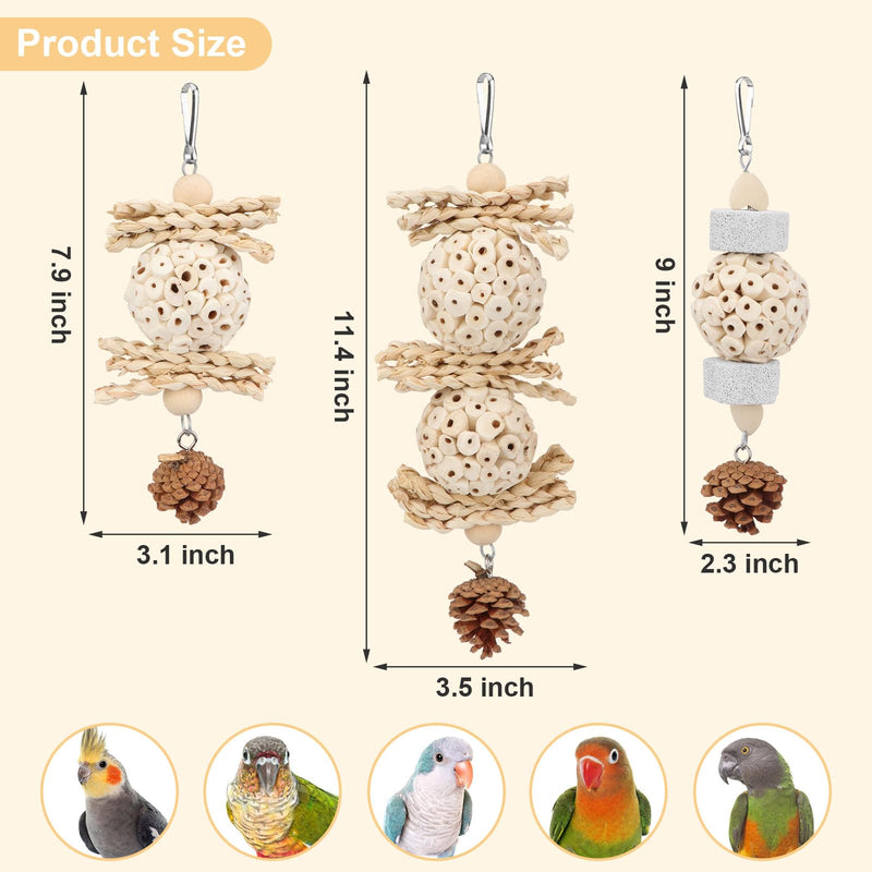 Wontee Bird Toys 3 Pack Parrot Foraging Hanging Toys Sola Ball Natural Nuts Chew Toys for Cockatiels Conures Parakeets Budgies Senegal (3 Pack) - PawsPlanet Australia