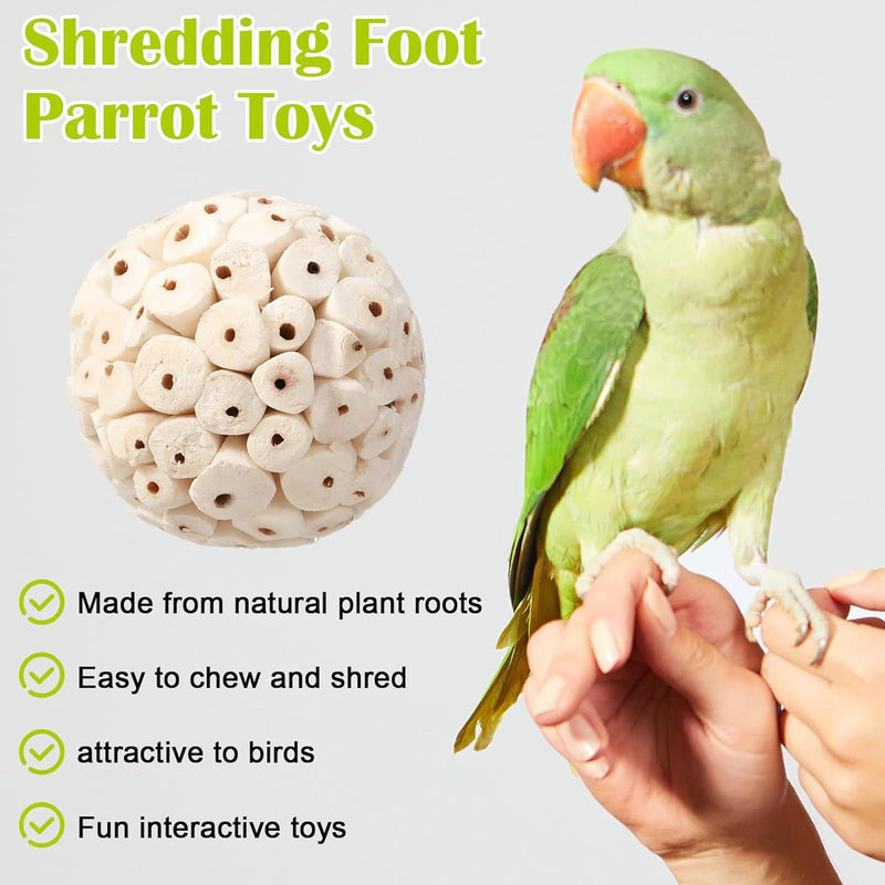 6Pcs Parakeet Toys, Natural Sola Balls Shredding Foot Parrot Chew Toys Bird Foraging Toys for Small Pets Conures Cockatiel Rabbit Guinea Pig Bunny Treats