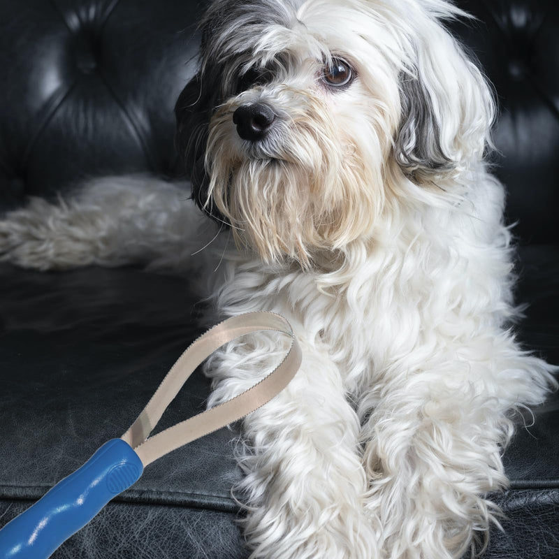 Dog Brush Shedding Blade Dual-Sided Stainless Steel Deshedding Tool Dog Grooming Supplies, 1Pack - PawsPlanet Australia