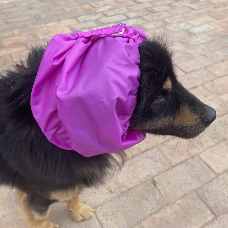 2 Pack Dog Bath Cap Waterproof Shower Hat Dogs Snood for Washing Raining Swimming Dogs Ear Prevention Cover Guard (L) L - PawsPlanet Australia