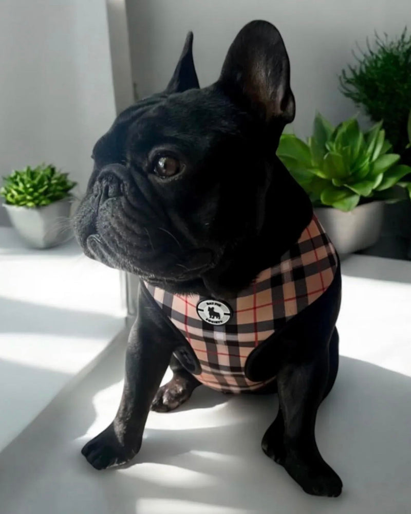 Classic Plaid Reversible Harness & Leash Set(M), Medium, Cream M - PawsPlanet Australia