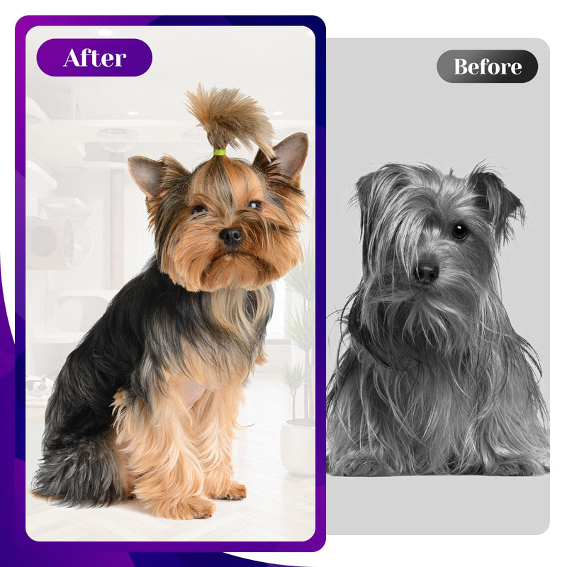 7” Dog Grooming Scissors Set – 6 in 1 Pet Grooming Kit with Curved, Thinning, Chunker & Straight Shears + Comb – 440C Stainless Steel Sharp Blades, Ergonomic & Quiet Design (Purple) Purple - PawsPlanet Australia
