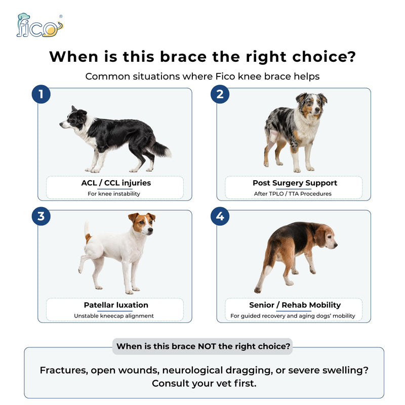 Dog Knee Brace for Hind Leg Support - Left Leg, CCL ACL Brace for Dogs, Vet Approved, Adjustable Orthopedic Support for Arthritis, Ligament Injuries & Post-TPLO Surgery Recovery (Small) Small