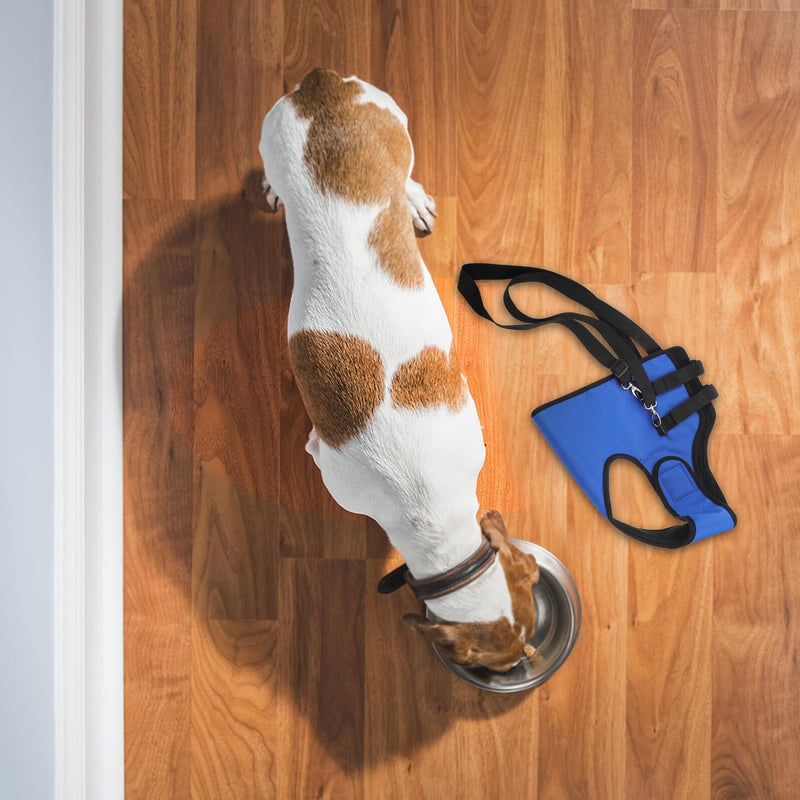 COLLBATH Dog Carrier Harness for Seniors and Injured Dogs, Adjustable Front Leg Aid Harness with Padded, Breathable Assistance Belt for Mobility Rehabilitation, Durable and