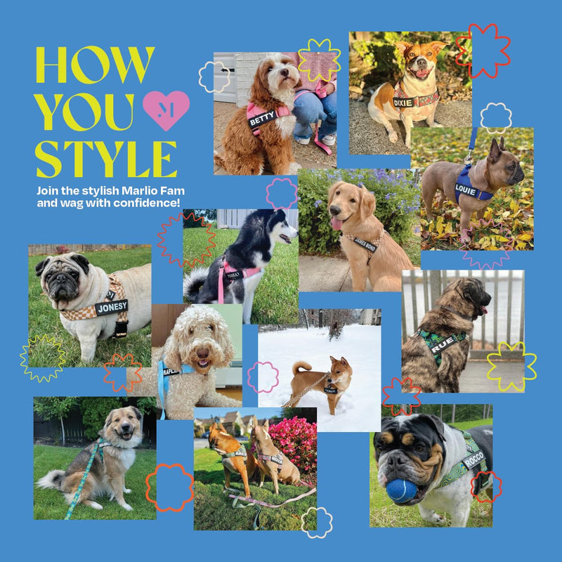 Marlio Adjustable Dog Harness - Stop Pulling, No Choke, Ensure Comfort, and Style with Easy-On, Unique Prints and Matching Leashes Available - Large, Blue/Yellow Swirl - PawsPlanet Australia