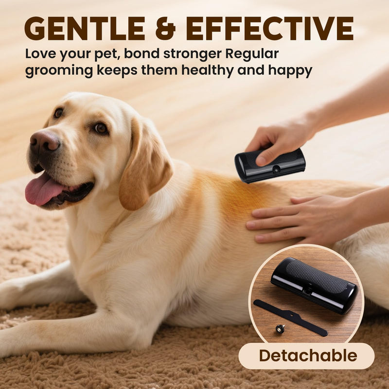 Deshedding Dog Brush & Pet Hair Remover Comb – Grooming Tool for Cats, Dogs, Rabbits, Horses, Hamsters | Itching Relief & Gift for Pet Lovers - PawsPlanet Australia