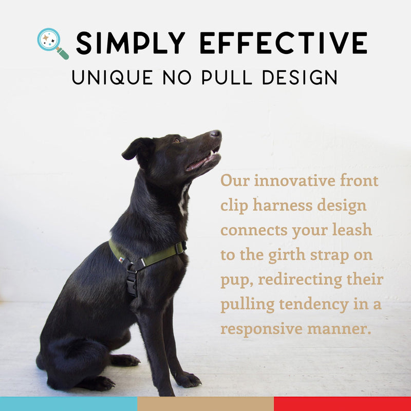 Wildebeest No Pull Dog Harness | Comfortable Training Harnesses | Effective No Pull Harness Design | Ideal for Medium Sized Dog | 4-Point Adjustable(M - 22~28 inch Girth, Olive) M - 22~28 inch Girth - PawsPlanet Australia