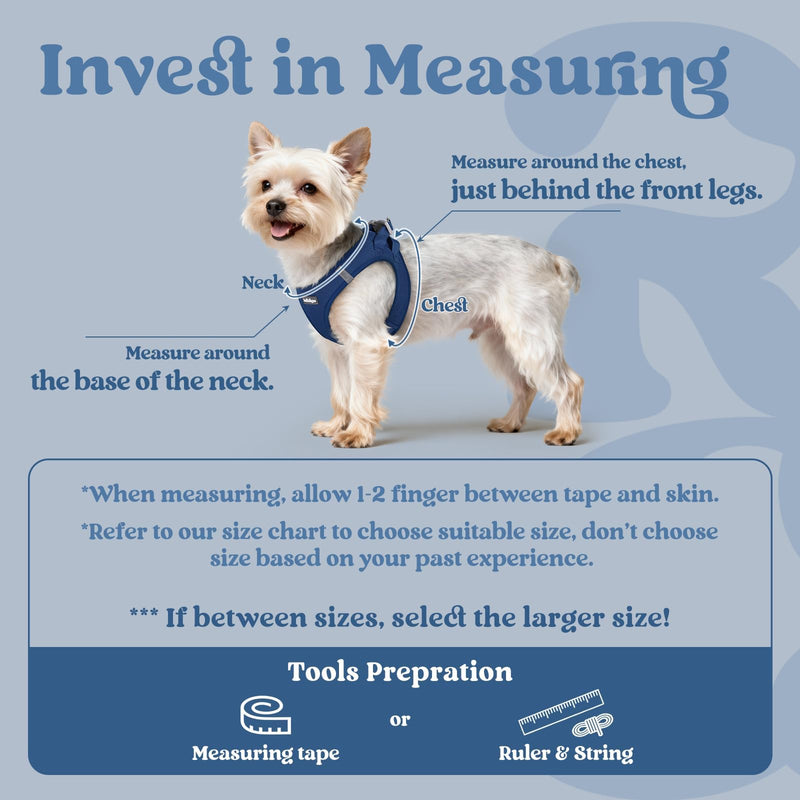 rabbitgoo Small Dog Harness, Step-in Soft Mesh Puppy Vest with Safety Buckle, Breathable Reflective Pet Harness for Small Sized Dogs, Navy Blue S S(Chest:15.1"-16.5") - PawsPlanet Australia