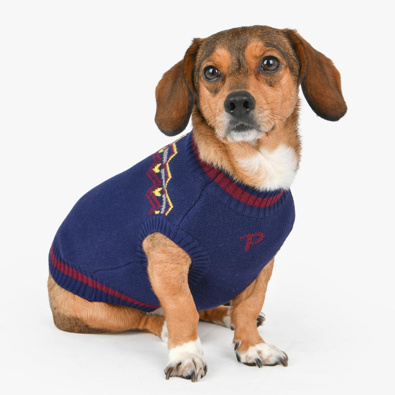 Puppia Kylo Dog Knit Sweater Winter Season for Small and Medium Dogs, Navy, Small Navy_Kylo - PawsPlanet Australia
