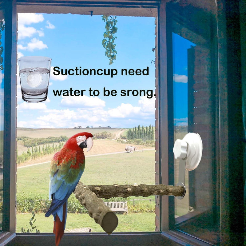 Natural Bird Perch Stand with Suction Cup for Window Mirror Car Shower Travel Bath Wood Training Perch for Small Medium Large Parrot Parakeet Cockatiel Concure Budgie Macaw Finch Lovebirds T Shape - PawsPlanet Australia