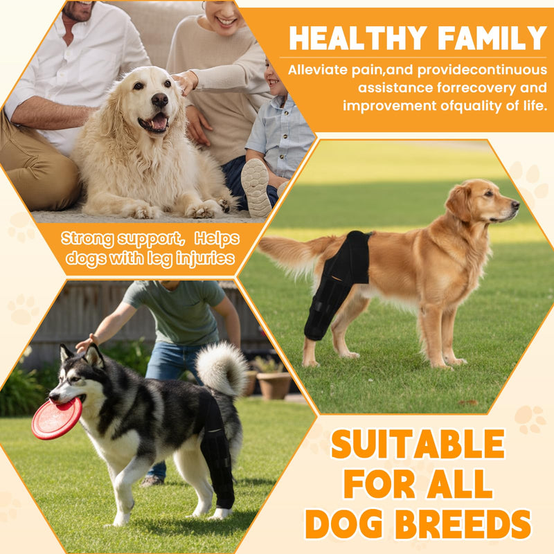 Dog Knee Brace for Hind Leg – Adjustable Rear Leg Support with 2 PP Resin Bars, Helps Torn ACL, Ligament Injuries, Luxating Patella & Hip Dysplasia Recovery for Left/Right Hind Leg (M)